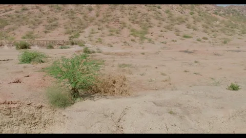 Slow Aerial Push Over Barren Desert With Sparse Shrubs In Rajasthan India Vídeos de archivo 344799311