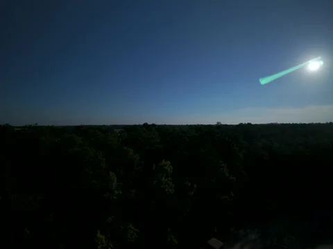 Slow aerial push over pine forest toward the horizon Stock Footage 346635957