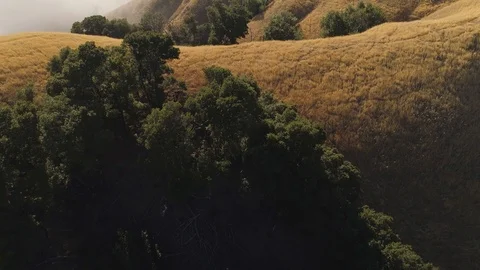 Slow aerial shot looking down at rolling hills with fog. Golden hills 库存影片 87814119