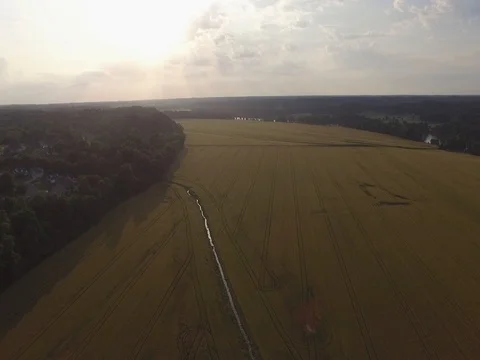 Slow Aerial Tracking Shot Over Wheat Field 库存影片 75792181