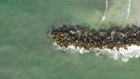Slow aerial view of waves on rocks Vídeo Stock 103669916