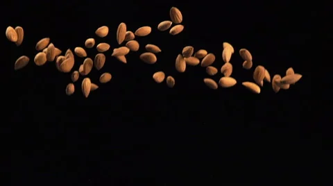 SLOW: Almonds fly up and fall Stock-Footage 49065316