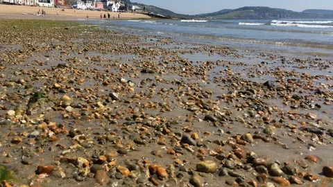 Slow angle tilt up shot of beach in Lyme Regis, Dorset Stock Footage 93991828