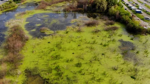 Slow approach of the Copter to the lake Stock Footage 93448754