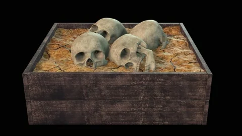 Slow approach of the skull box Stock Footage 167143869