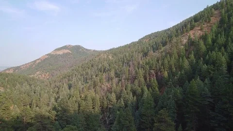 Slow approach towards trees on mountain Stock Footage 84961003