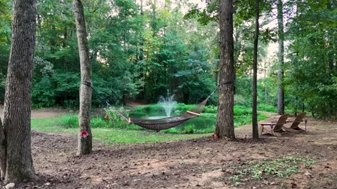 Slow Ascent Above Hammock and Pond Fountain in Forest Setting Stock Footage 319026913