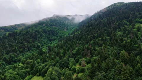 Slow Ascent Toward Misty Forest on Mountain Peak Video stock 339406046