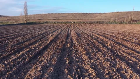 Slow Backward and Ascending Drone Shot Over Plowed Field in Winter Sun Stock Footage 325223161