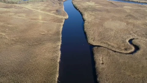 Slow, backwards flight over a salt marsh Stock Footage 98164621