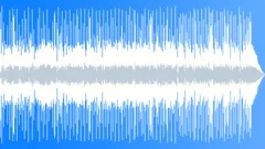 Slow Blues Resonator Slide Guitar Stock Music