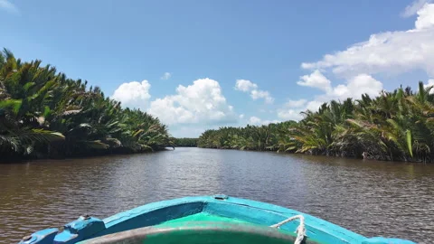 Slow Boat Ride Through Tropical River and Palm Vegetation, Borneo, Indonesia Stock Footage 346363907