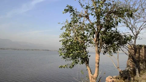 Slow breeze at lake Stock Footage 58597532