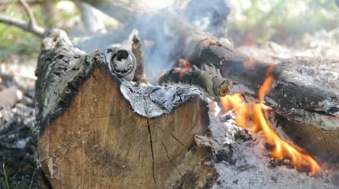 Slow burning campfire Stock Footage 8143362