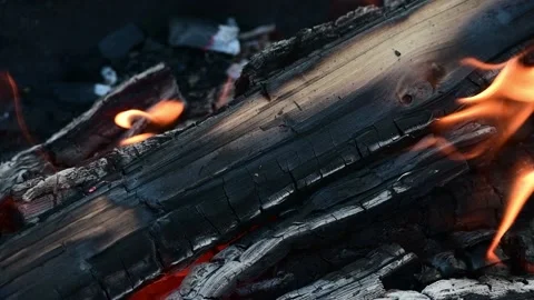 Slow burning logs for grilling Stock Footage 219586644