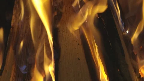 Slow-burning wood Stock Footage 151679991