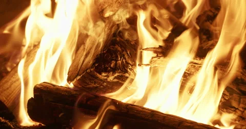 Slow Camera Movement Over Burning Fire Wood Flames and Glowing Coals Stock Footage 343531841