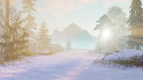 Slow camera movement through falling snowflakes in the rays Stock-Footage 263520372