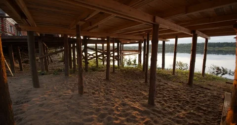 Slow camera movement through vertical logs Stock Footage 115987203