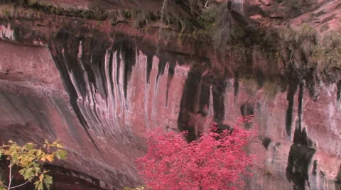 Slow camera reveal of a small waterfall at Zion National Park Stock-Footage 55738151