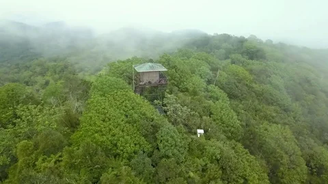 Slow circular drone footage of a cloudy wet forest landscape Stock Footage 129174246
