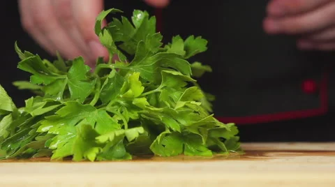 SLOW: Cook puts down a parsley sheaf on a cutting board Vídeo Stock 62900483