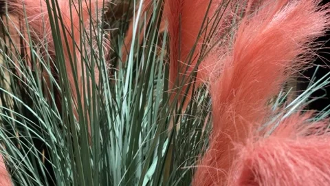 Slow Crane Up of Orange Pampas Grass in a Luxurious High-End Interior Vídeos de archivo 332662672