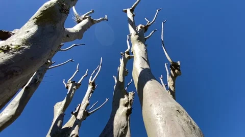 Slow descend Stock Footage 204101667