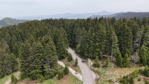 Slow Descending Drone Flight Moving Forward Toward Forest Road Video stock 337906885