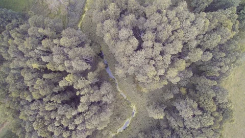 Slow descent of the drone over the river and trees Video stock 114425841