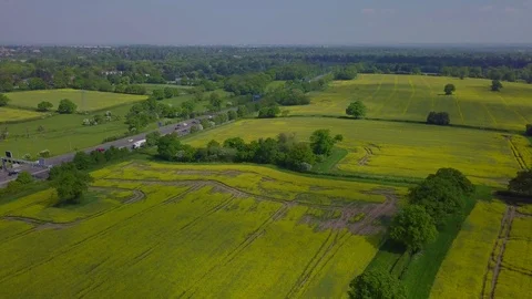 Slow descent over rapeseed field in full bloom UK Video stock 109130342