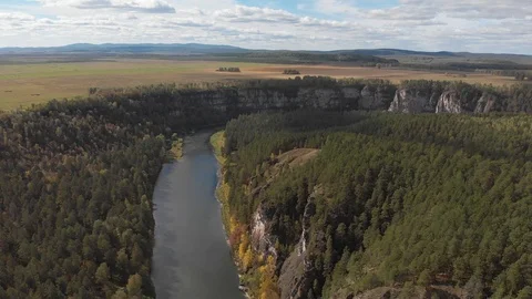 Slow direct aerial flight over a gentle mountain river, pine forest. Ay river. Video stock 101614357