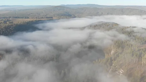 Slow direct flight over a gentle mountain river, pine forest, clouds. Ay river. Stock Footage 101616411