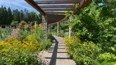 Slow dolly shot down flowered path under garden trellis Stock Footage 239075255