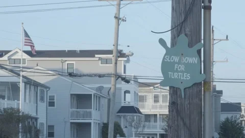 Slow Down For Turtles Sign Stock Footage 288143679