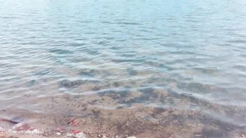 SLOW DRAMATIC PAN UP FROM SHORE TO LAKE WITH SUN Stock Footage 182480475