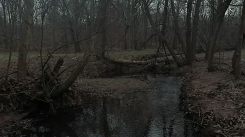 Slow drift over stream 1 Stock Footage 151539719