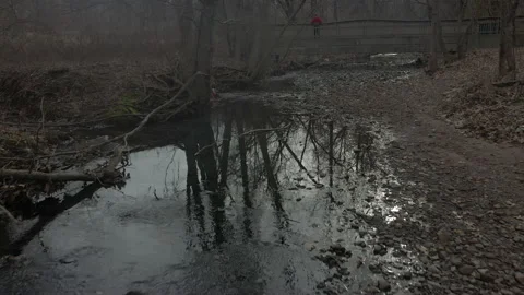 Slow drift over stream3 Stock Footage 151539464