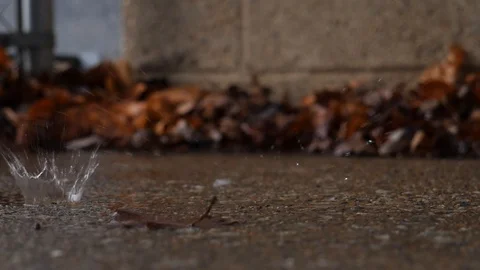 Slow drips 2 스톡 동영상 86564010