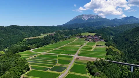 Slow Drone Advance Toward Mount Daisen Over Tottori Rice Fields Stock Footage 342256098