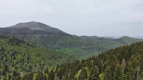 Slow Drone Approach to Trees on Mountain Plateau in Cloudy Weather Stock Footage 337928798