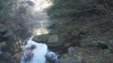 Slow Drone Flight Down Forest River – Rocky Stream Nature 4K Stock Footage 325410589