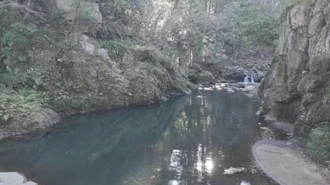 Slow Drone Flight Over Forest River Pool Toward Small Waterfall – 4K Nature Stock Footage 325408564