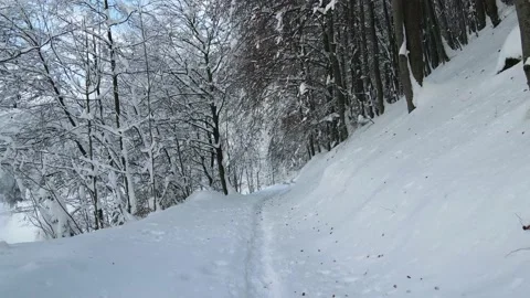 Slow drone flight over a fresh snow covered trekking trail inside the forest. 4k Stock Footage 147858621