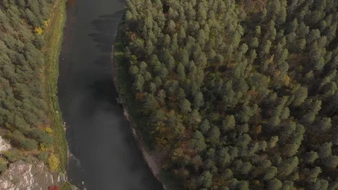 Slow drone flight over gentle mountain river, pine forest, island. Vertical view 動画素材 101616027
