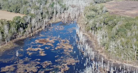 Slow drone flight over pond Video stock 290473234