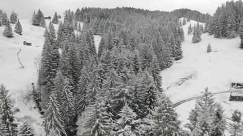 Slow drone flight over snow-covered trees with thick cloud cover black and white Stock-Footage 138649772