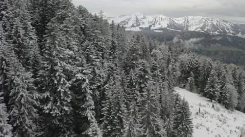 Slow drone flight over snow-covered trees and a panoramic view of a valley Stock Footage