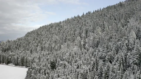 Slow drone flight over snow-covered trees in Austria with thick cloud cover Stock-Footage 138650277
