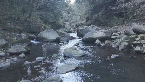 Slow Drone Flight Up Rocky Mountain Stream – Forest River Nature 4K Stock Footage 325409097